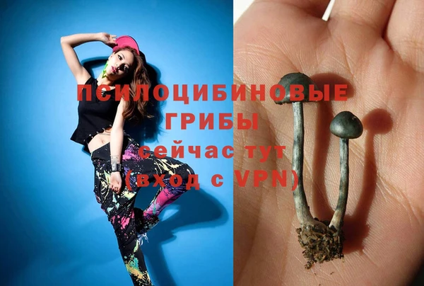 винт Кодинск