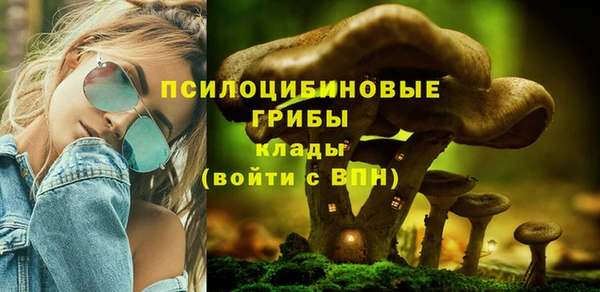 ешки Козловка