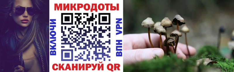Купить  Макарьев  Галлюциногенные грибы Psilocybe 